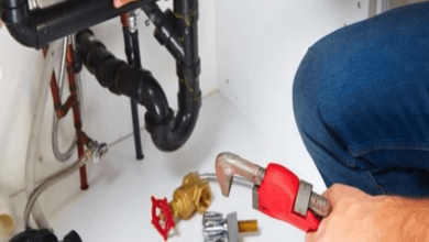 Professional Plumbing Services