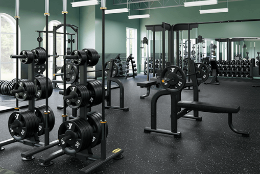 Professional-Grade Weightlifting Equipment