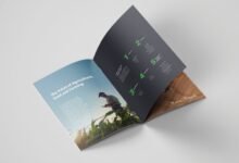 A Guide to Designing Your First Brochure