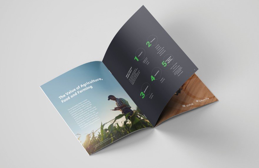 A Guide to Designing Your First Brochure